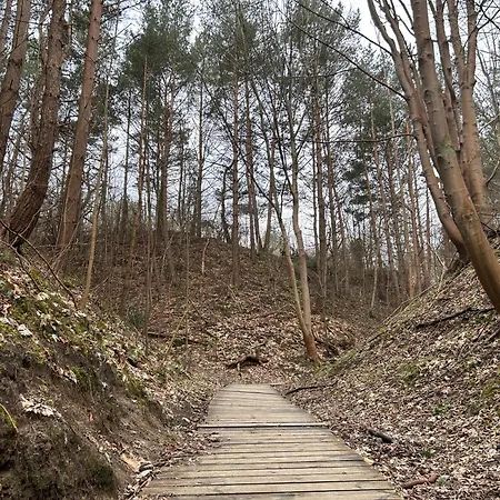 Chata Eden - Domki, Pokoje,