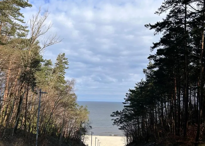 Eden - Domki, Pokoje, Apartamenty, Sauna, Jacuzzi ロッジ Jastrzębia Góra