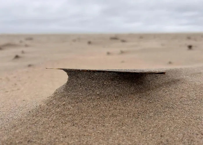 Eden - Domki, Pokoje, Apartamenty, Sauna, Jacuzzi *