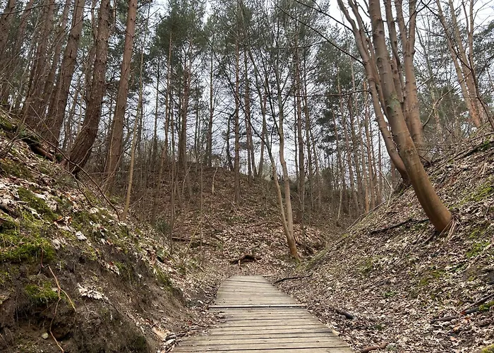 Alojamento de Turismo Selvagem Eden - Domki, Pokoje, Apartamenty, Sauna, Jacuzzi